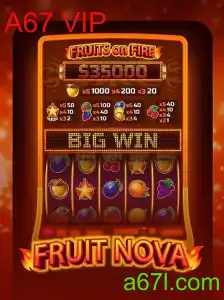 Descubra o Fascinante Mundo do Jogo FruitNova e a Chave A67 VIP